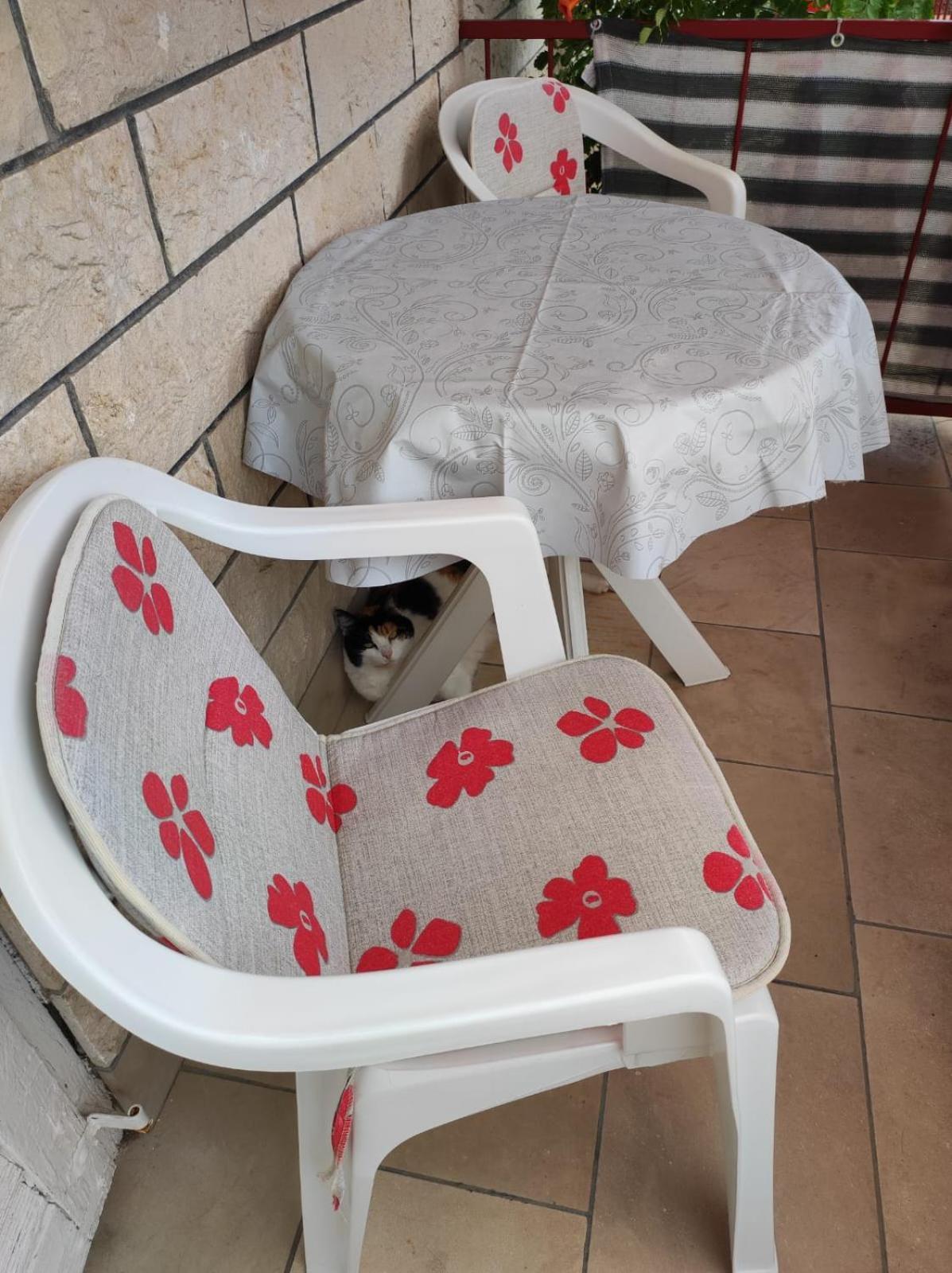 Apartmani Valentino 马卡尔斯卡 外观 照片